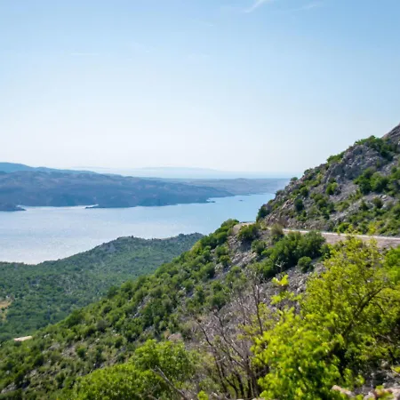 Cvit 1 By Interhome Lejlighed