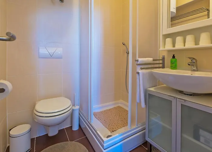 Cvit 1 By Interhome Appartement Klenovica